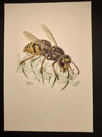 Wesp, Verzenden, 1980 tot heden, Zo goed als nieuw, Dier