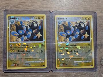 Luxio uit Pop8 8/17 beschikbaar voor biedingen