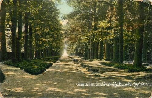 (388-502-035) Apeldoorn Koninklijk Park, Verzamelen, Ansichtkaarten | Nederland, Gelderland, Verzenden