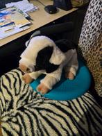 Varkentje heerlijk zacht, Ophalen of Verzenden, Zo goed als nieuw, Overige typen