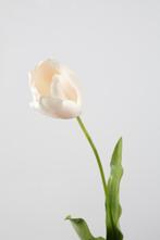 Kunst tulp deluxe wit roze kunsttulp bloem stoer sober, Nieuw, Verzenden