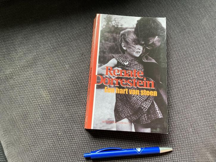 🩶 Een hart van steen - Renate Dorrestein, Boeken, Literatuur, Zo goed als nieuw, Ophalen of Verzenden