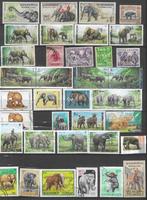 OLIFANTEN 45 postzegels plus 10 andere wilde dieren, Ophalen of Verzenden, Dier of Natuur