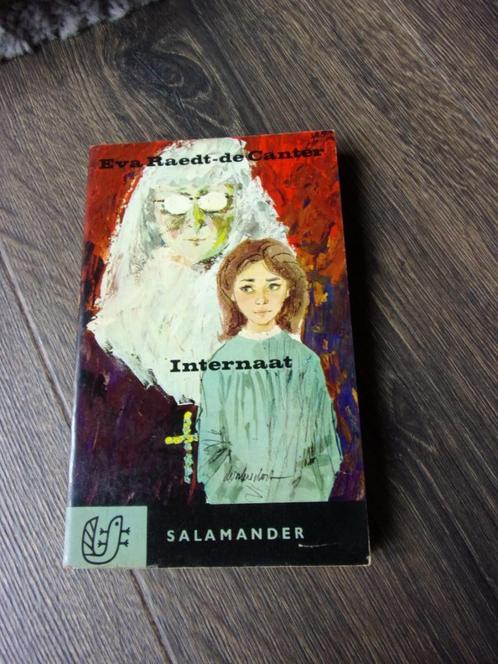 EVA RAEDT-DECANTER/INTERNAAT/1965/SALAMANDER REEKS No181, Boeken, Romans, Zo goed als nieuw, Nederland, Ophalen
