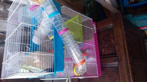 Hamsterkooi twee hoog met accessoires, Dieren en Toebehoren, Knaagdieren en Konijnen | Hokken en Kooien, Zo goed als nieuw, Kooi