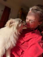 Gezocht; nette huurwoning in Enschede!, Huizen en Kamers