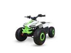LEM Motor Grizly Electric Quad