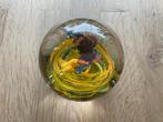 Presse paper glas met vlinder, Ophalen of Verzenden