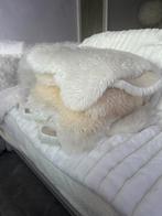 Witte matjes, Ophalen of Verzenden, Minder dan 70 cm