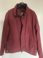 Bordeauxrode Heren Winterjas - Prima Staat!, Overige maten, Ophalen of Verzenden, Zo goed als nieuw, Human Nature