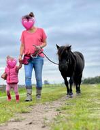 verzorger gezocht, Dieren en Toebehoren, Paarden en Pony's | Verzorgingsproducten, Ophalen of Verzenden