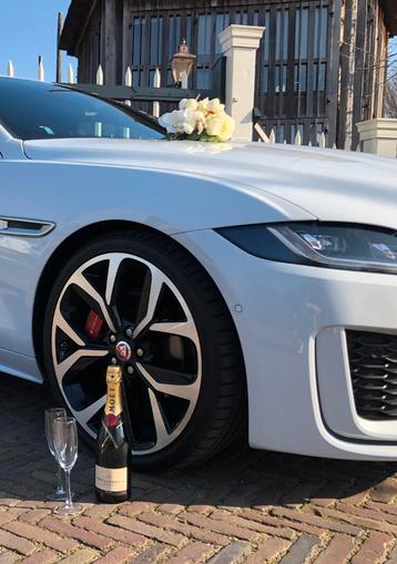 Jaguar trouwautoverhuur met chauffeur! beschikbaar voor biedingen