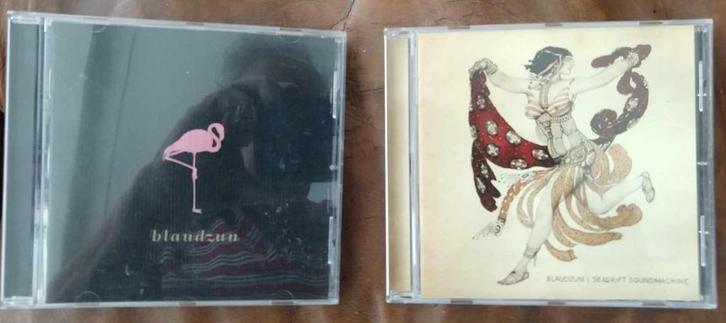 Blaudzun CD 's DVD 's - hoeft niet in 1 koop, Cd's en Dvd's, Cd's | Rock, Zo goed als nieuw, Poprock, Ophalen of Verzenden