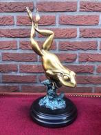 levensecht bronzen beeld van een kikker, Antiek en Kunst, Ophalen of Verzenden, Brons