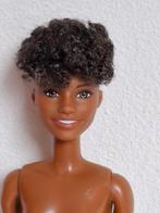 Barbie Fashionistas aa, Verzamelen, Poppen, Ophalen of Verzenden, Zo goed als nieuw, Fashion Doll