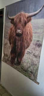 Hooglander Doek met/zonder Lichtjes, Ophalen of Verzenden