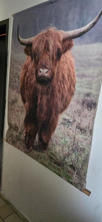 Hooglander Doek met/zonder Lichtjes beschikbaar voor biedingen