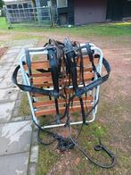 Te koop, Dieren en Toebehoren, Ophalen, Overige soorten