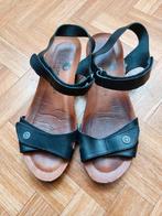 Cosmos sandalen 41, Ophalen