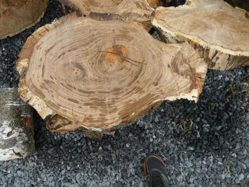 boomschijven schaaldelen eiken kersen berk bijzettafel salon, Doe-het-zelf en Verbouw, Hout en Planken, Nieuw, Plank, Eiken, Minder dan 200 cm
