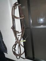 Hoofdstel, Dieren en Toebehoren, Paarden en Pony's | Hoofdstellen en Tuigage, Ophalen of Verzenden, Zo goed als nieuw, Springen