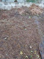 Gratis paarden, Tuin en Terras, Aarde en Mest, Ophalen of Verzenden, Tuinaarde
