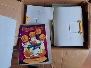 donald duck beschikbaar voor biedingen