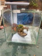 Qubiq 30 pro, Dieren en Toebehoren, Vissen | Aquaria en Toebehoren, Ophalen, Leeg aquarium