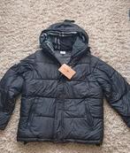 Burberry Puffer Jas/Bodywarmer - Nieuw - Maat L, Maat 52/54 (L), Zwart, Nieuw, Ophalen of Verzenden