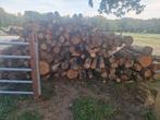 Stamhout - Haardhout - loofhout (Beuk, Eik, Es) - brandhout, Tuin en Terras, Haardhout, Ophalen of Verzenden, Stammen