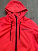 Superdry softshell jas M, Maat 38/40 (M), Superdry, Oranje, Ophalen of Verzenden