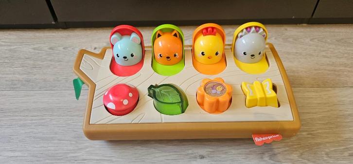 Fisher-Price Hide & Peek Pop-Up, Kinderen en Baby's, Speelgoed | Fisher-Price, Zo goed als nieuw, Speelset, Ophalen