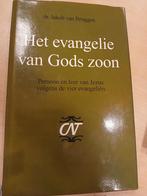 Jakob van Bruggen - Het evangelie van Gods Zoon, Verzenden, Zo goed als nieuw, Jakob van Bruggen, Christendom | Protestants
