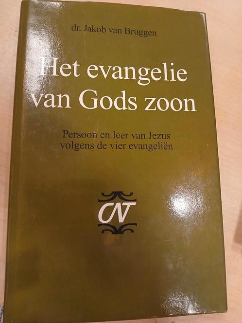 Jakob van Bruggen - Het evangelie van Gods Zoon, Boeken, Godsdienst en Theologie, Zo goed als nieuw, Christendom | Katholiek, Christendom | Protestants