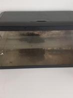 Axelotl, Ophalen, Zo goed als nieuw, Terrarium of Paludarium