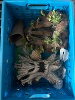 Aquarium decoratie, Dieren en Toebehoren, Ophalen, Sierelement