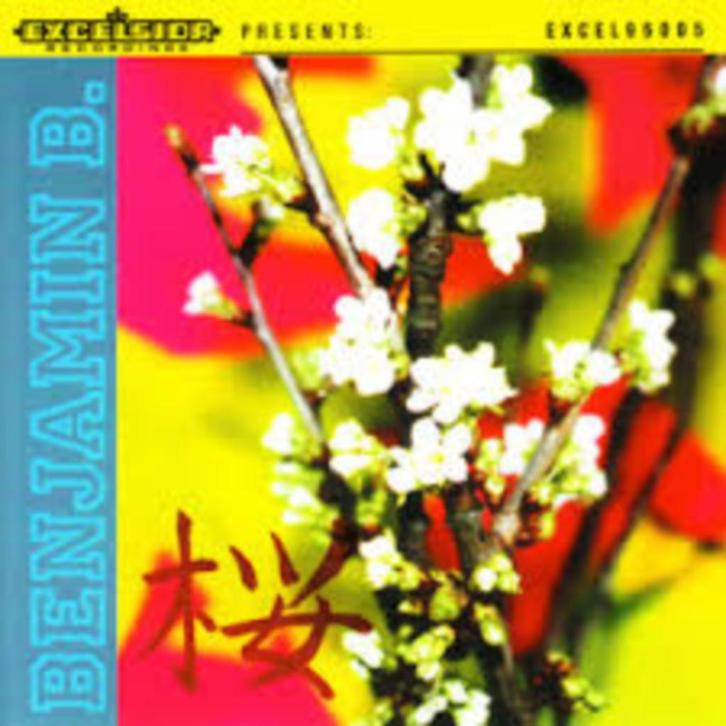 cd's Benjamin B, Cd's en Dvd's, Cd's | Pop, Gebruikt, 1980 tot 2000, Ophalen of Verzenden