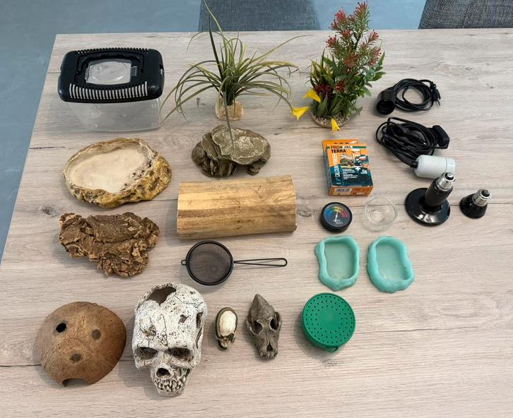 Diverse Terrarium Accesoires, Dieren en Toebehoren, Reptielen en Amfibieën | Toebehoren, Zo goed als nieuw, Terrarium of Paludarium