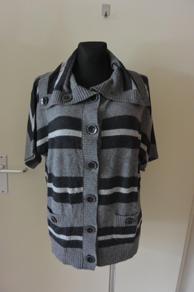 Gerry Weber Edition vest 42 grijs , kashmir zga nieuw, Kleding | Dames, Truien en Vesten, Zo goed als nieuw, Maat 42/44 (L), Grijs