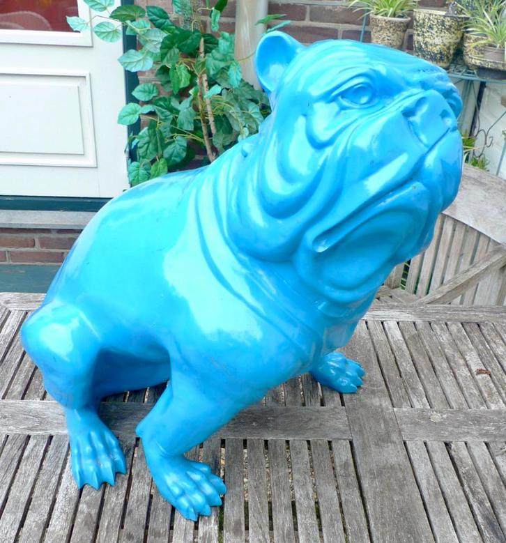 Enorme blauwe buldog in kunsthars, Antiek en Kunst, Kunst | Beelden en Houtsnijwerken, Ophalen of Verzenden
