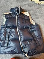 McGregor bodywarmer 54, Maat 52/54 (L), Blauw, Ophalen of Verzenden