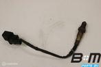 Lambdasonde Volkswagen Golf 5 1.4BCA, Gebruikt