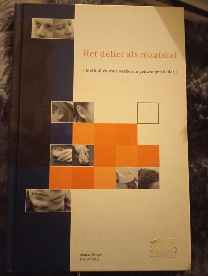 Het delict als maatstaf en het grote conflict, Boeken, Kunst en Cultuur | Architectuur, Gelezen, Ophalen of Verzenden
