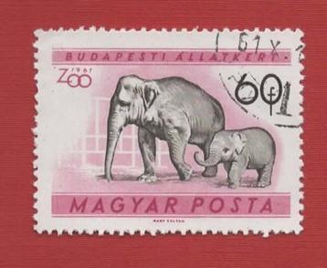 Fauna - Dieren - Olifant - Hongarije - gebr beschikbaar voor biedingen