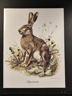 Haas, 1960 tot 1980, Verzenden, Zo goed als nieuw, Dier