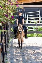 Lieve welsh pony te koop!, Dieren en Toebehoren, Pony's, Gechipt, Ruin, Dressuurpony, Zadelmak