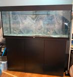 Aquarium Juwel Rio led 240 met Helialux en smartcontroler, Ophalen, Gebruikt, Leeg aquarium