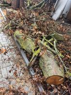 Gratis Stookhout, Doe-het-zelf en Verbouw, Hout en Planken, Ophalen, Gebruikt, Overige typen, 50 mm of meer