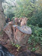 Hele grote  beuken kruin ., Tuin en Terras, Haardhout, Ophalen, Blokken