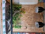 Terrarium gebruikt 2 weken, Dieren en Toebehoren, Reptielen en Amfibieën | Toebehoren, Ophalen